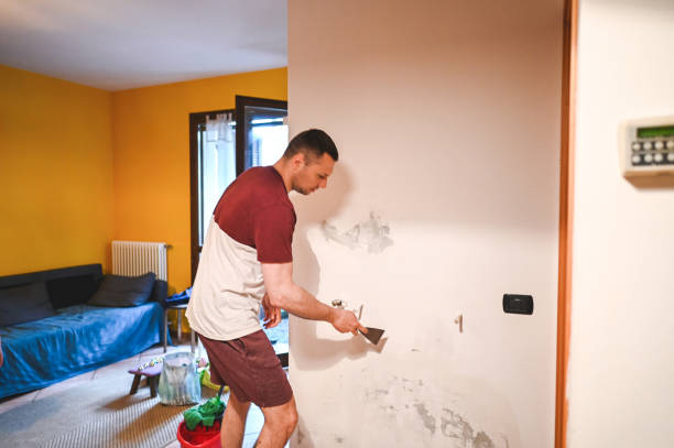 Certified Mold Removal in Lockwood, MT